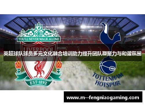 英超球队球员多元文化融合培训助力提升团队凝聚力与和谐氛围