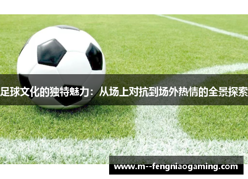 足球文化的独特魅力：从场上对抗到场外热情的全景探索