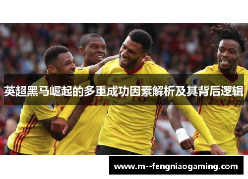 英超黑马崛起的多重成功因素解析及其背后逻辑