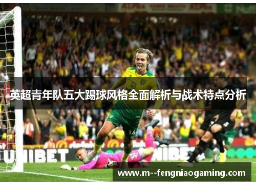英超青年队五大踢球风格全面解析与战术特点分析