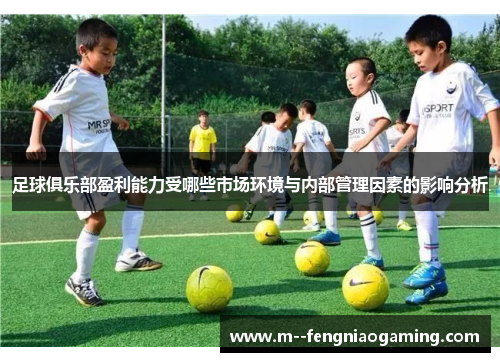足球俱乐部盈利能力受哪些市场环境与内部管理因素的影响分析