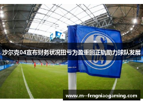 沙尔克04宣布财务状况扭亏为盈重回正轨助力球队发展 沙尔克04宣布财务状况扭亏为盈重回正轨助力球队发展