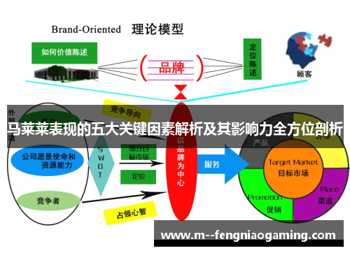 马莱莱表现的五大关键因素解析及其影响力全方位剖析